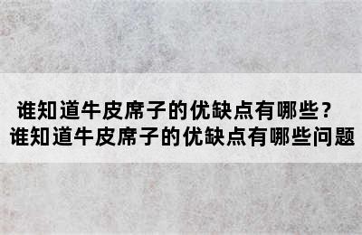 谁知道牛皮席子的优缺点有哪些？ 谁知道牛皮席子的优缺点有哪些问题